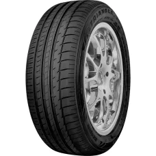 245/45R17 TRIANGLE SPORTEX (TH201) 99Y XL RP DOT21 CCB72 M+S